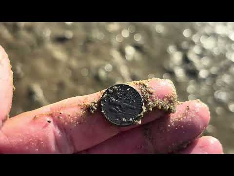 Видео: Пляжный металлоискатель снова ищет место, где я нашел золото.