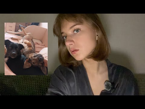 Видео: я взяла двух собак с улицы и два года не ела мясо.