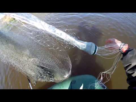 Видео: Лучшая рыбалка КАСТИНГОВОЙ сетью с ЛОДКИ!!!Сазан и Щука на омуте!!!