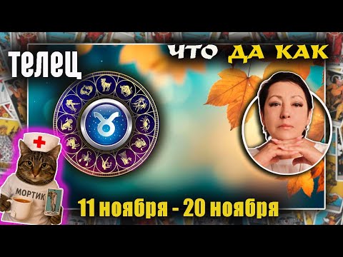 Видео: Телец | Прогноз с 11 по 20 ноября