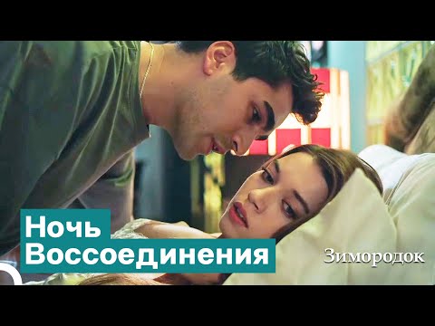 Видео: Зимородок Ферит: Захватывающая Дух Ночь Ферита И Сейран | Зимородок
