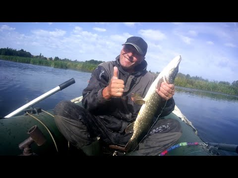 Видео: Рыбалка в Беларуси. Августовский парад щук. Неожиданные "трофеи". Выпуск 139.