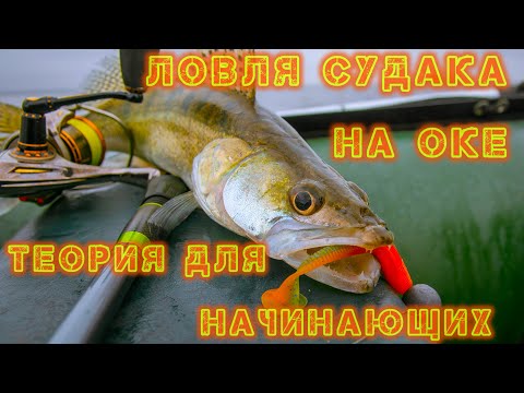 Видео: Как поймать Судака на реке? Теория для начинающих... Красивые обрывы Жереха.