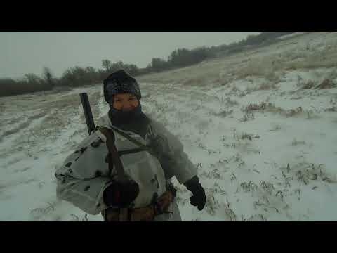 Видео: Охота на зайца 3.01. 24. С Новым полем вас, дорогие товарищи!