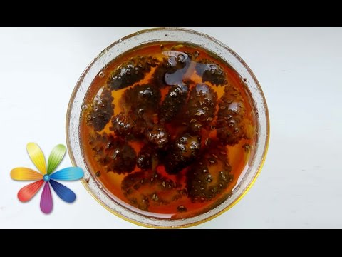 Видео: Приготовьте витаминное варенье из зеленых шишек! - Все буде добре - Выпуск 645 - 03.08.15