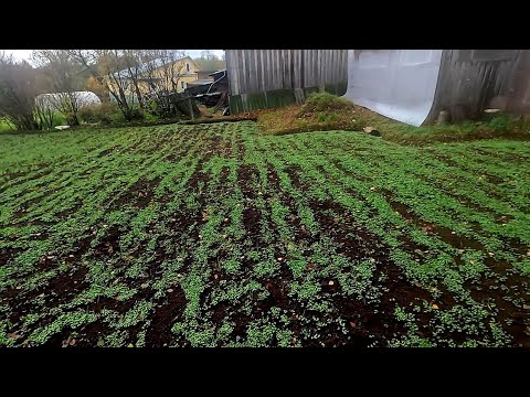 Видео: Перенервничала конечно... Даже заглядывать туда не хочу..