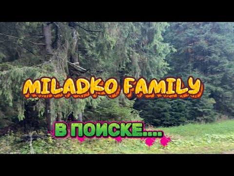 Видео: Прогулка в лесу с ребёнком 🌲 Реакция, когда увидели настоящих оленей 🦌