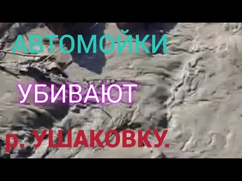Видео: р. Ушаковка.