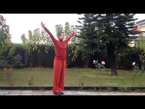 Видео: Сукшма-вьяяма. Часть 2. Плечи, руки.