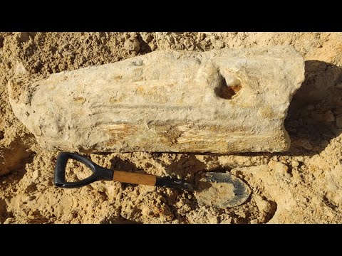 Видео: Керченский полуостров (ч.1). Опализированное дерево