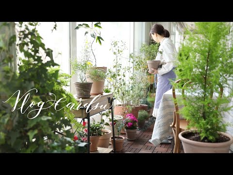 Видео: Я счастливый садовод./Новости о весеннем саде Балкони./Растения и кошки