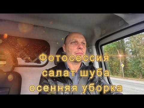 Видео: 52. Осенняя уборка | салат селедка под шубой