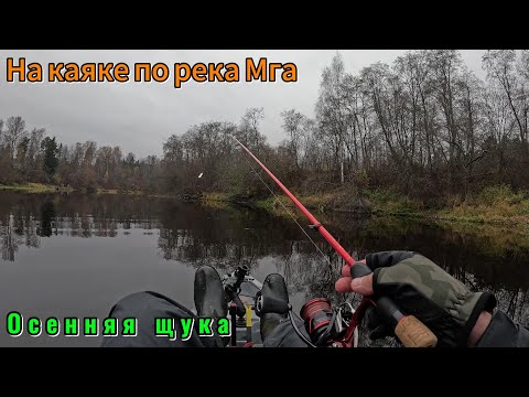 Видео: На пластиковом каяке по реке Мга. Осенняя рыбалка на малой реке по щуке