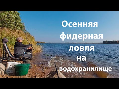 Видео: Фидерная ловля в Октябре на водохранилище.