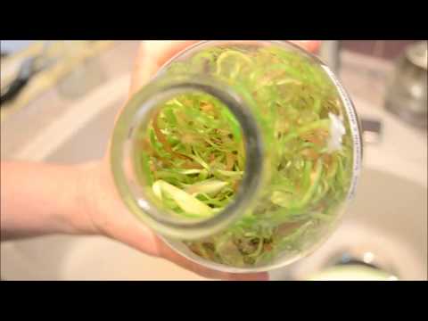 Видео: Рассаживаем фласку фрагмипедиума