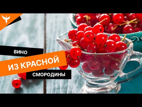 Видео: Вино из красной смородины. Просто, но со вкусом