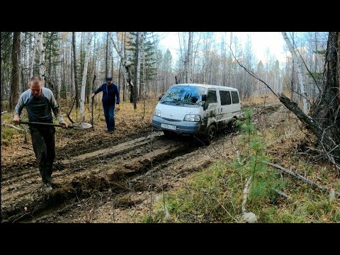 Видео: Малое Голоустное - Куртун - Бугульдейка