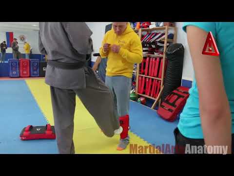 Видео: Вспомогательные техники Хапкидо