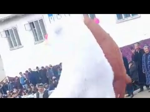 Видео: Кобилчон Зарипов ,Иди Наврӯз д.Артуч.