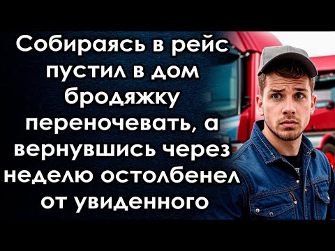 Видео: Собираясь в рейс пустил бродяжку переночевать, а вернувшись через неделю остолбенел от увиденного