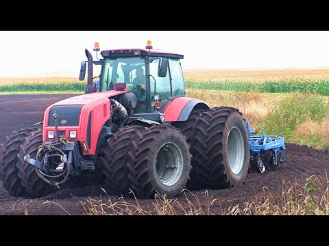 Видео: Дискование на Торфяниках. МТЗ 3522  / Lemken RUBIN 12