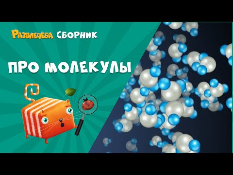 Видео: Развлечёба. Окружающий мир. Сборник про молекулы.