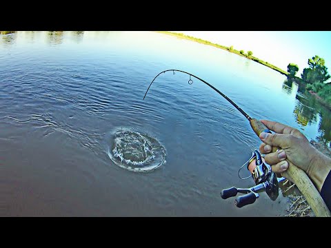 Видео: Приехали НА АХТУБУ, а там НЕ ВСТАТЬ! Рыбалка со спиннингом среди отдыхающих