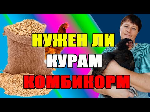 Видео: Как правильно применять комбикорм для кур. С какого возраста цыплятам можно комбикорм.