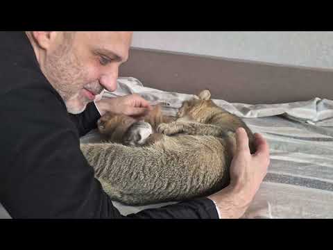 Видео: Побег котят в 15-й день жизни 😊