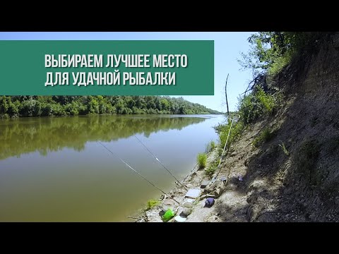 Видео: КАК ВЫБРАТЬ МЕСТО ДЛЯ УДАЧНОЙ РЫБАЛКИ? Ловля сазана
