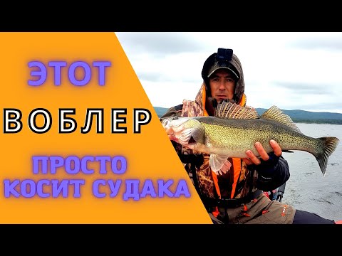 Видео: Лучший воблер на судака, для троллинга. Аргази, троллинг в один спиннинг.