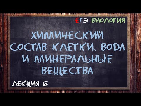 Видео: Л.6 | Химический состав клетки | Вода и минеральные вещества | ОБЩАЯ БИОЛОГИЯ ЕГЭ