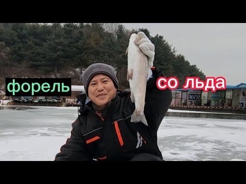 Видео: Южная Корея,  рыбалка на царскую рыбу, форель. Было очень мало времени,  но я смог поймать форель.