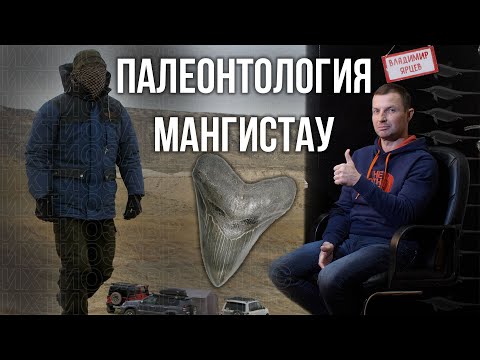 Видео: Радиация? Кто обитал в Мангистау миллионы лет назад? Интервью с Владимиром Ярцевым.