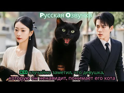 Видео: CEO случайно заметил, что девушка, которую он ненавидит, понимает его кота#ceo #drama #film