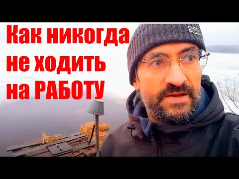 Видео: КАК никогда не ходить на работу? Где брать деньги на жизнь?  #работа #заработок #бизнес
