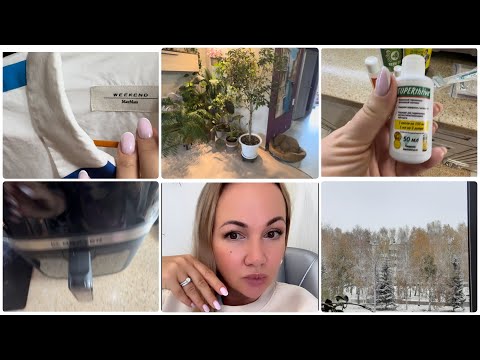 Видео: 🐚СНОВА СБОРЫ В ОТПУСК🪸СКОРО МОЙ ДР 🎂 ЗЕЛЕНАЯ АПТЕЧКА 🪴СУПЕР НАХОДКА: ЧЕМОДАН-РЮКЗАК🎒У НАС ЗИМА ❄️ 
