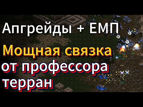 Видео: Аист против Гадюки. Мощь терранских апгрейдов и сокрушительные атаки протосса - Старкрафт Ремастеред