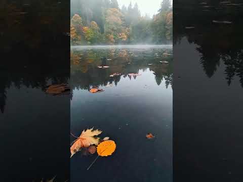 Видео: Золотая осень в Чехии 
