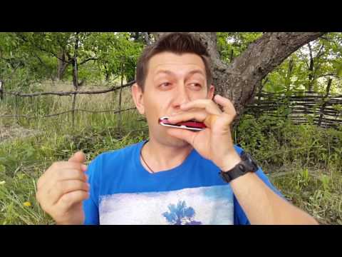 Видео: Передув на шестом отверстии. Урок №11.  Overbend of a harmonica