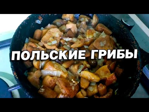 Видео: ЖАРЕНЫЕ ПОЛЬСКИЕ ГРИБЫ