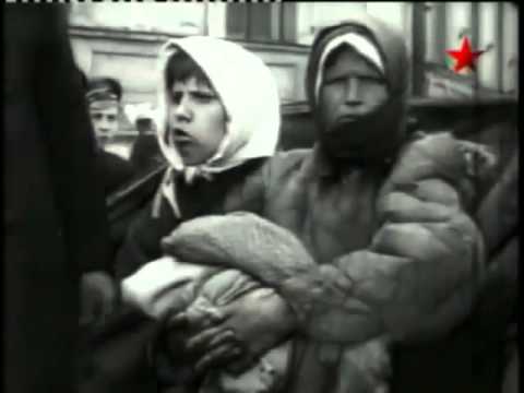 Видео: Геноцид казаков