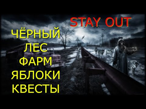 Видео: 👉Чёрный лес🌟Сталкер онлайн🌟stayout 👍