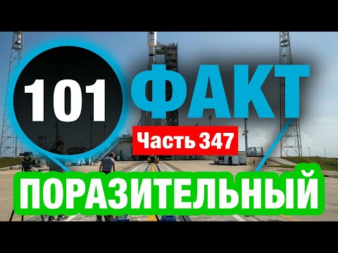 Видео: 101 Случайный Факт О Котором Вы Не Знали