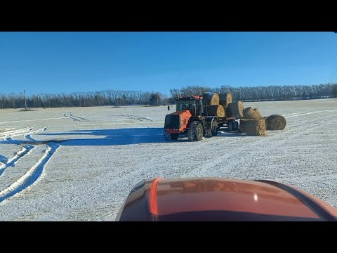 Видео: Вывозка соломы с поля.Кировец,МТЗ,Нью Холланд