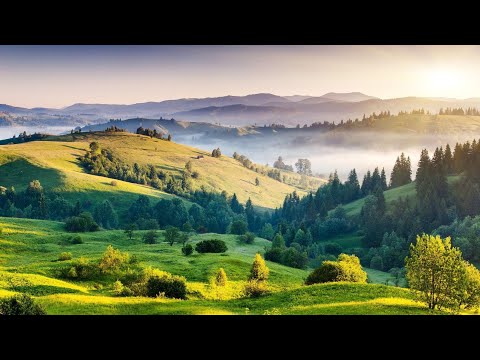 Видео: интересные стихи часть 64