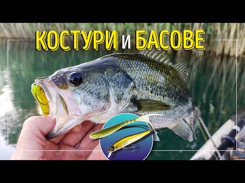 Видео: Костури и басове. Страхотен риболов. Тест на нови примамки
