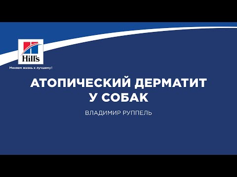 Видео: Вебинар на тему: “Атопический дерматит у собак”. Лектор - Владимир Руппель.