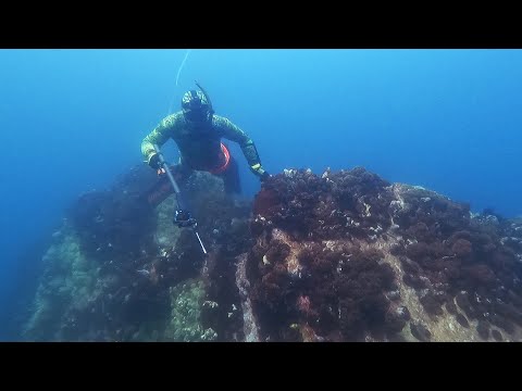 Видео: КТО НЕ СПРЯТАЛСЯ, Я НЕ ВИНОВАТ! ВЛАДИВОСТОК 2023 ПОДВОДНАЯ ОХОТА (ЧАСТЬ 1)