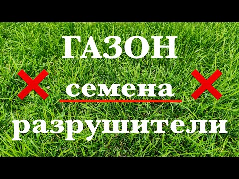 Видео: Газон: семена разрушители